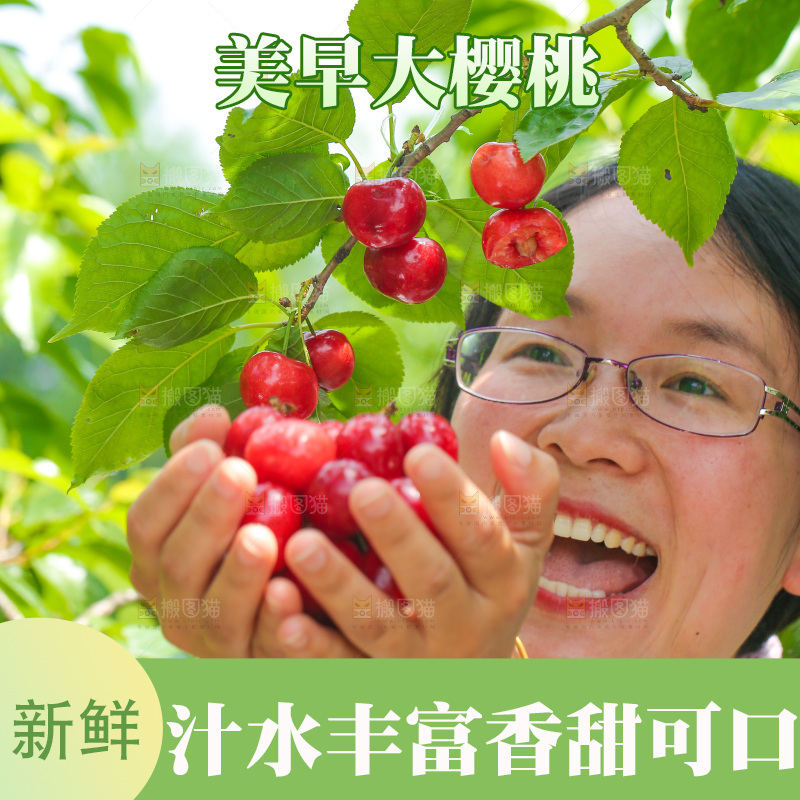手里拿着新鲜大樱桃