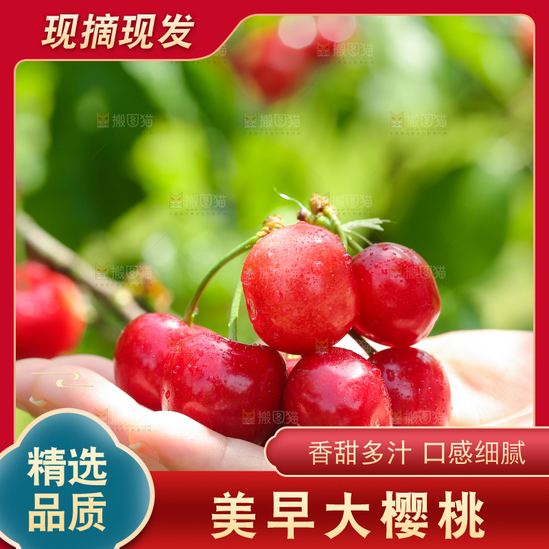 手里拿着新鲜大樱桃