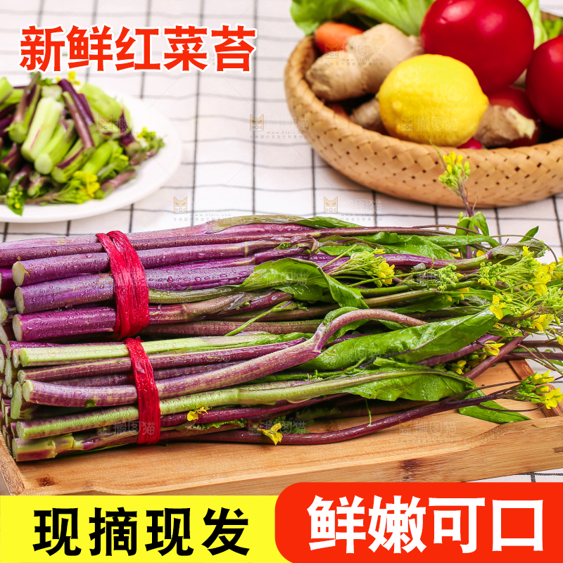 浅底上的红菜苔