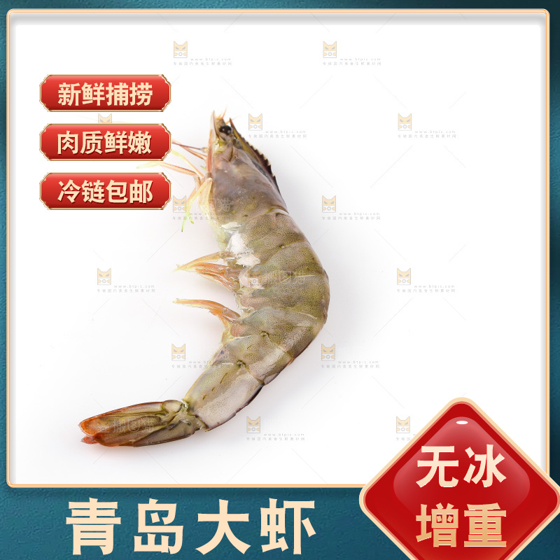 白底上的大虾