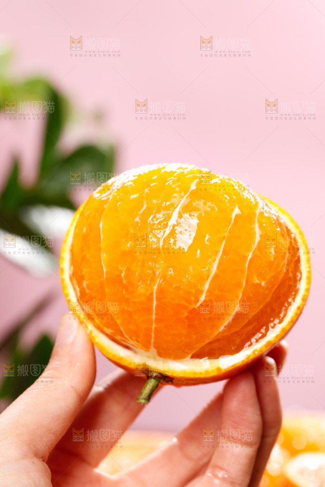 浅底上的爱媛果冻橙
