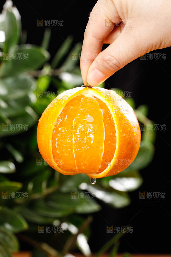 深底上的爱媛果冻橙