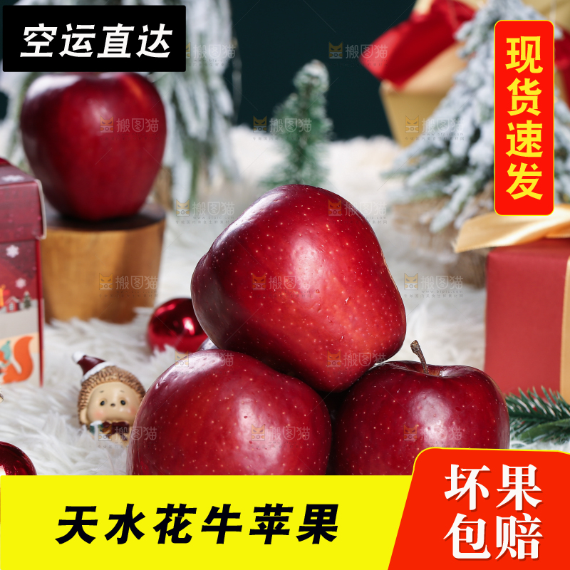 浅底上的圣诞果