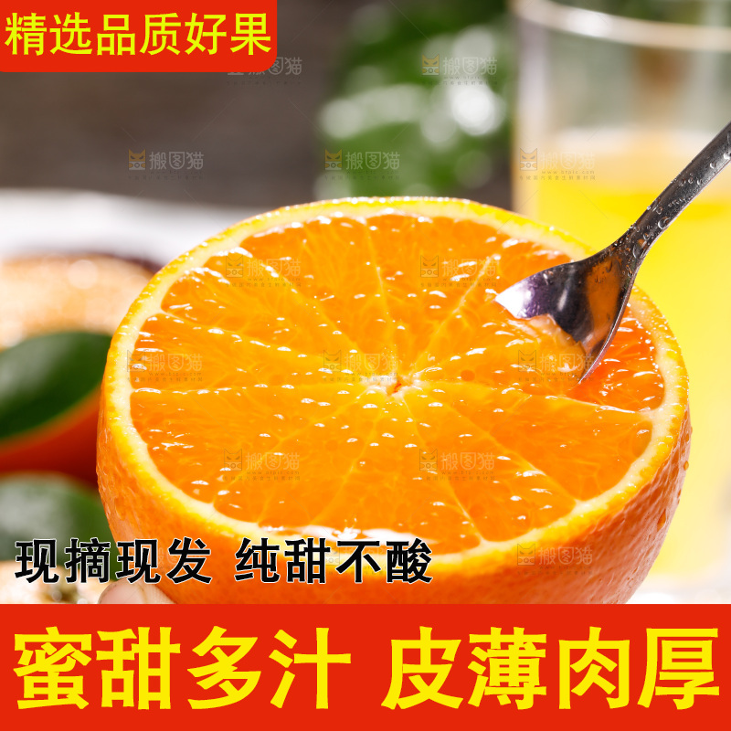 浅底上的爱媛果冻橙