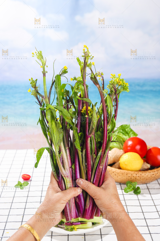 浅底上的红菜苔