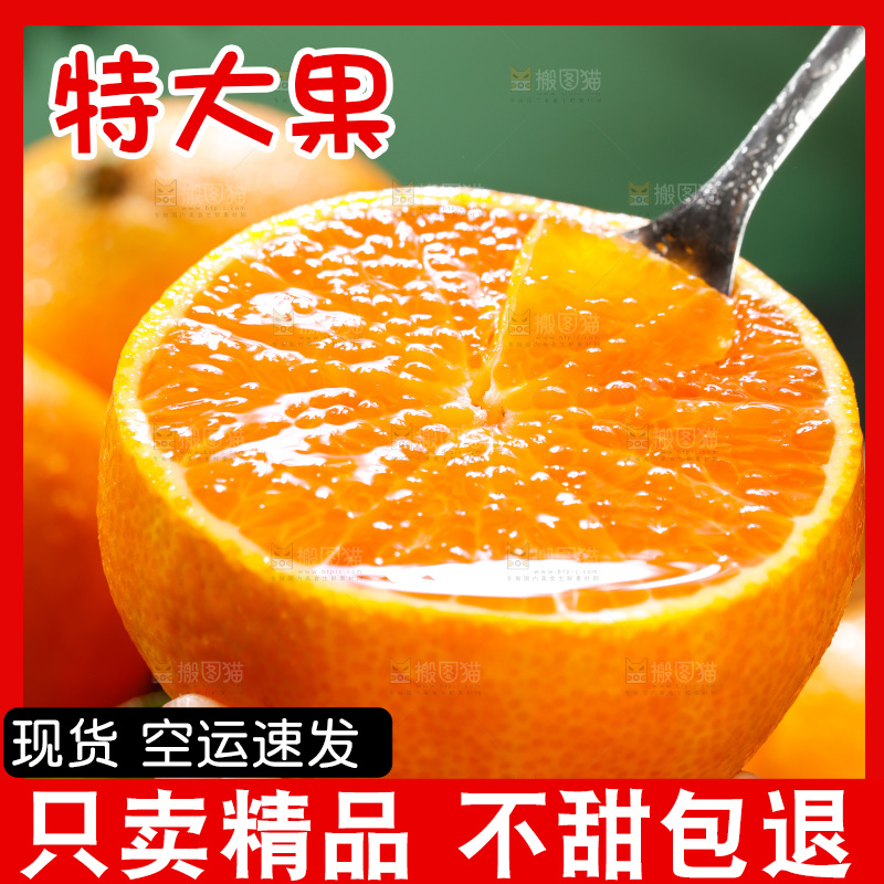 爱媛果冻橙主图