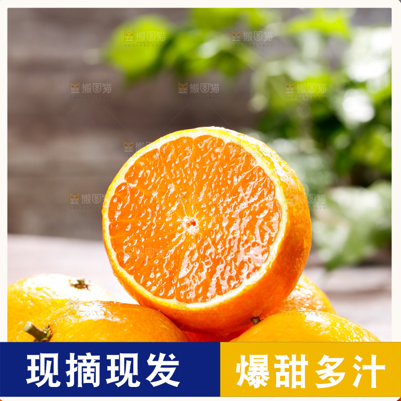 爱媛果冻橙主图