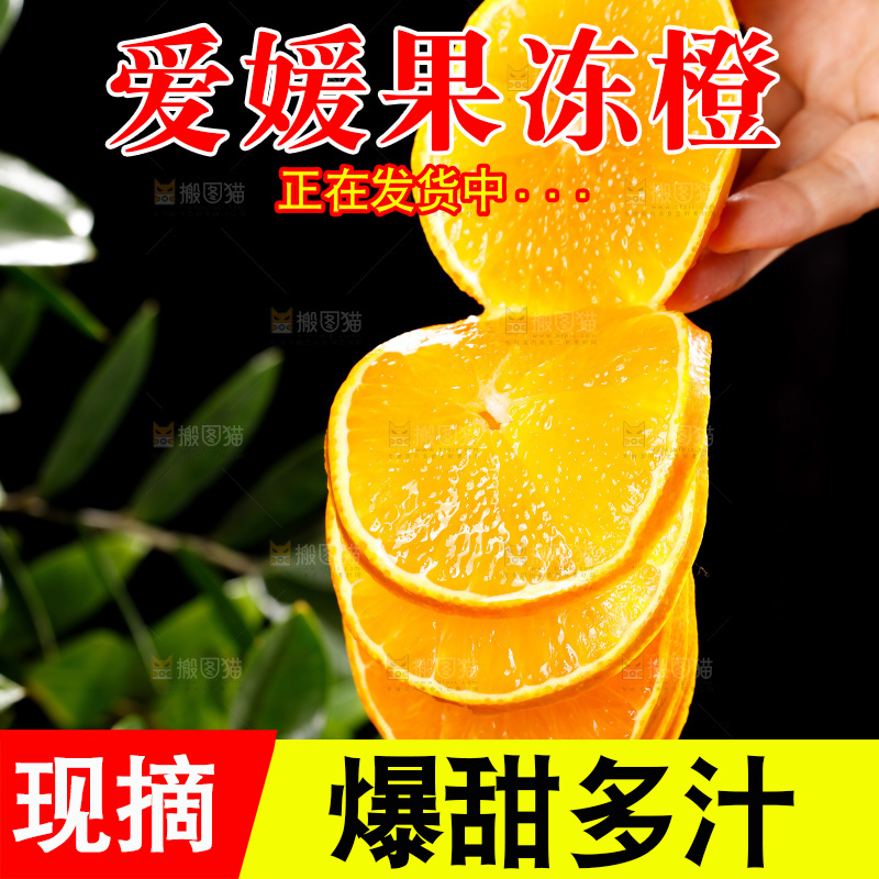 深底上的爱媛果冻橙