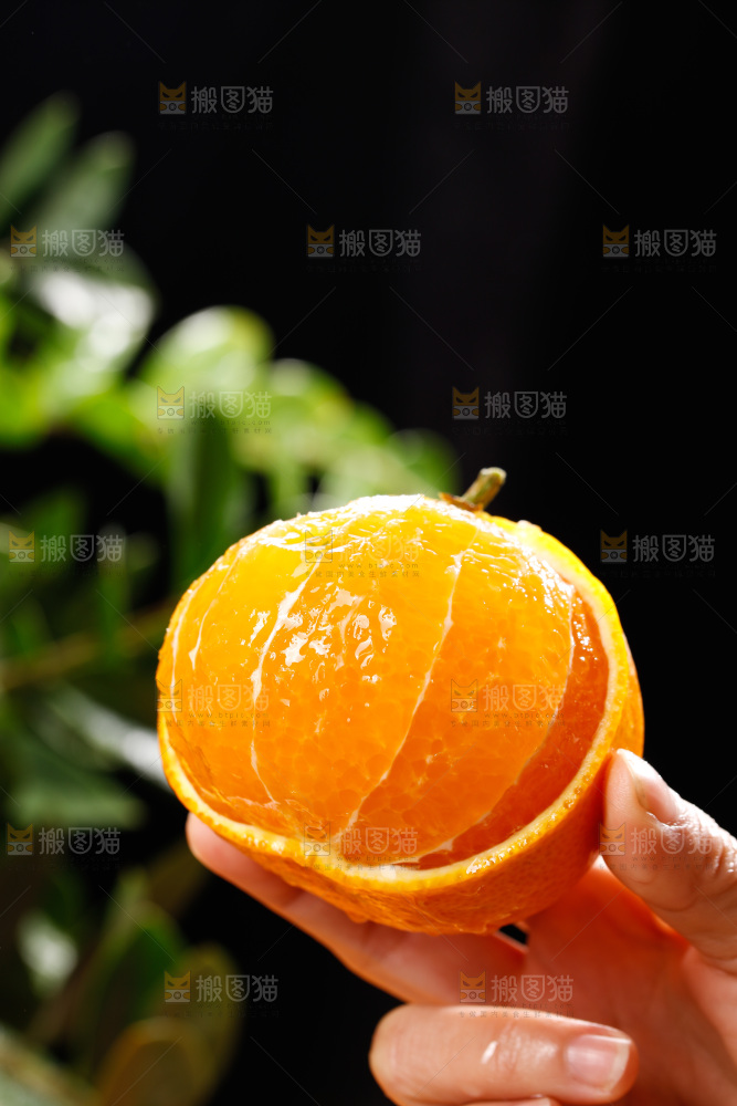 深底上的爱媛果冻橙
