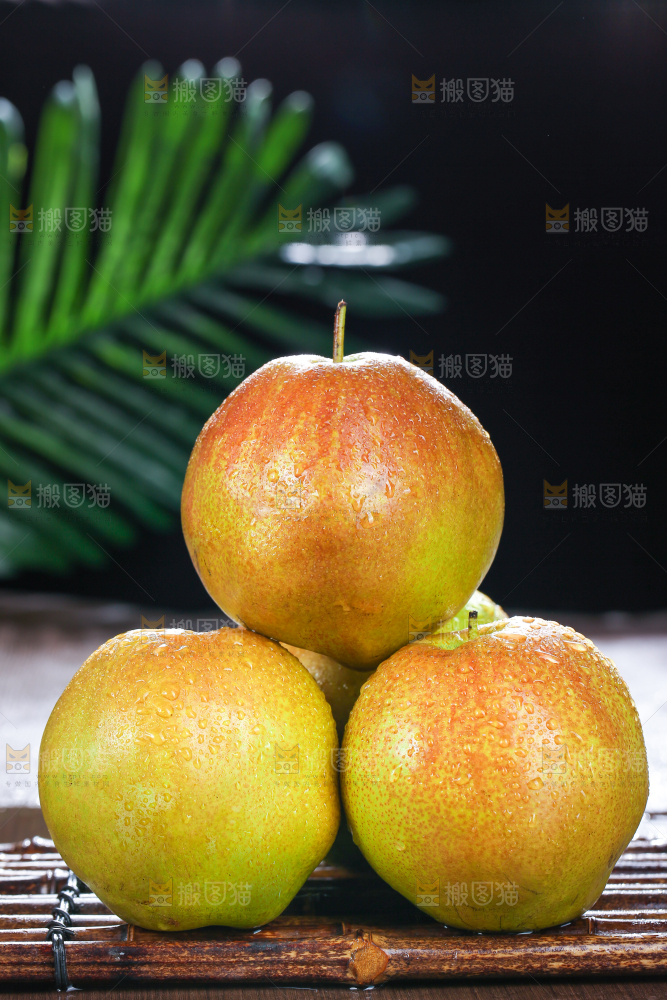 玉露香梨
