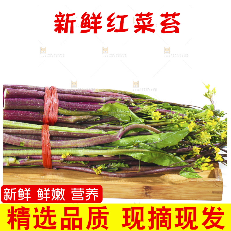 白底上的红菜苔