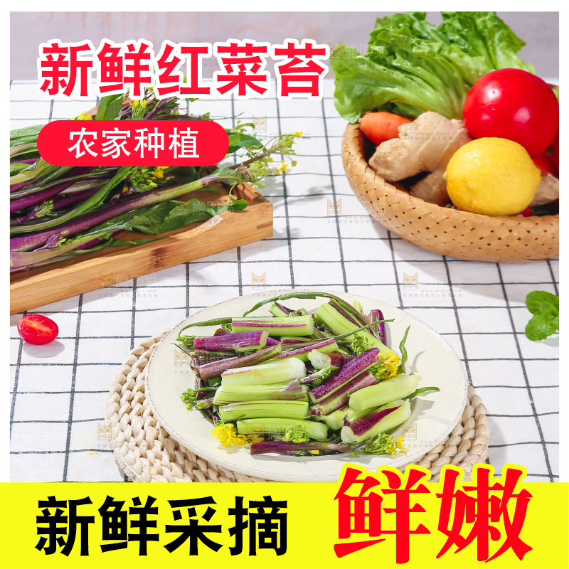 浅底上的红菜苔