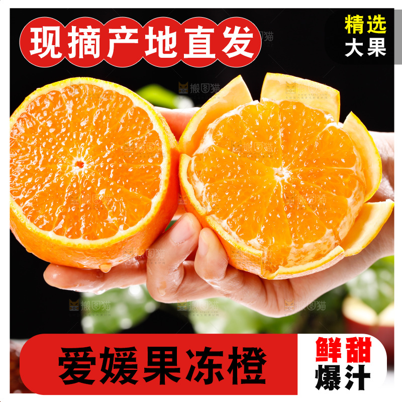 浅底上的爱媛果冻橙