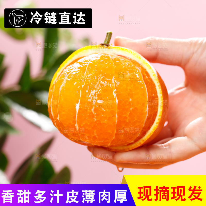 浅底上的爱媛果冻橙
