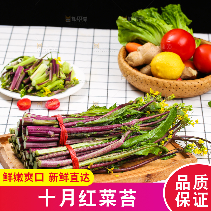 浅底上的红菜苔