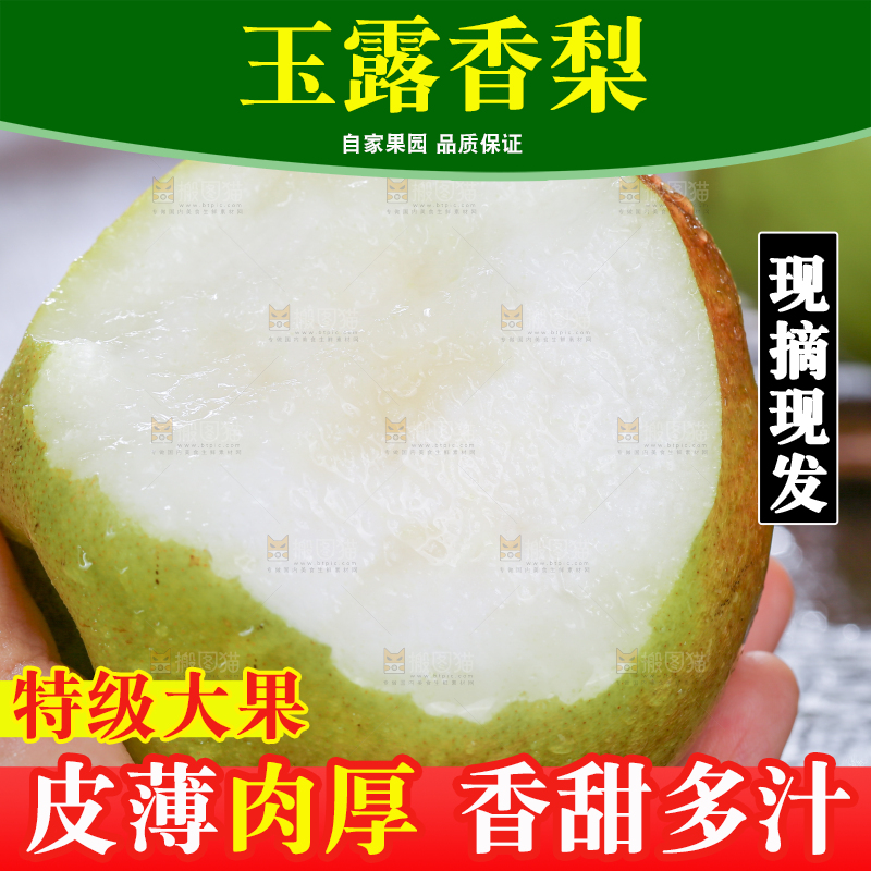 深底上的玉露香梨