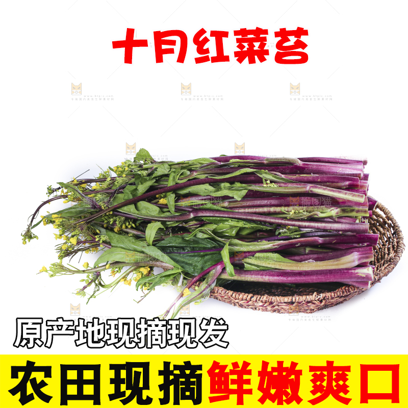 白底上的红菜苔
