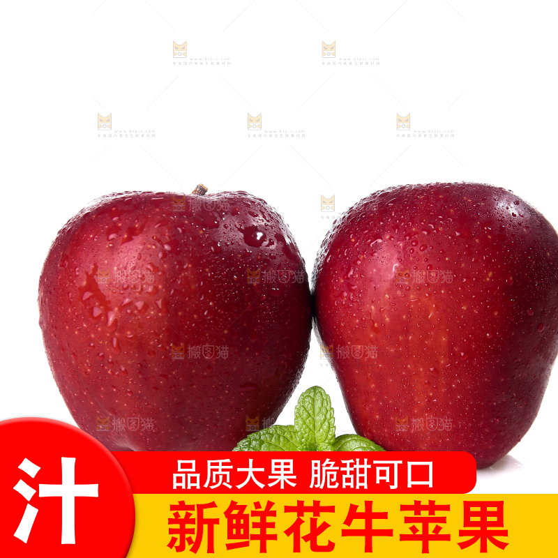 白底上的圣诞果