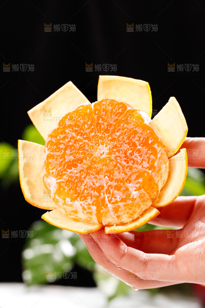 浅底上的爱媛果冻橙