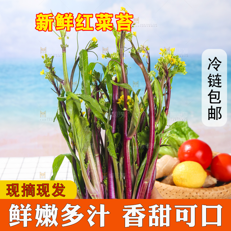 浅底上的红菜苔