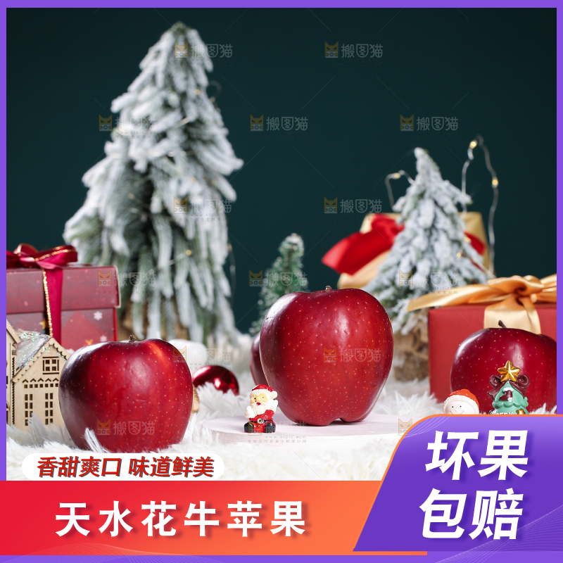 浅底上的圣诞果