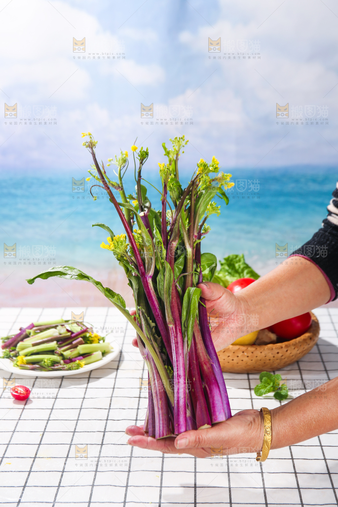 浅底上的红菜苔