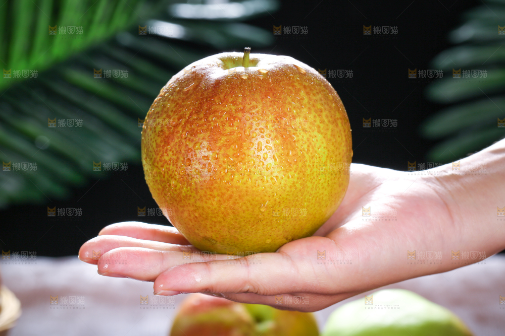 深底上的玉露香梨