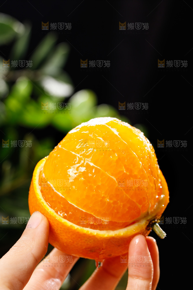 深底上的爱媛果冻橙