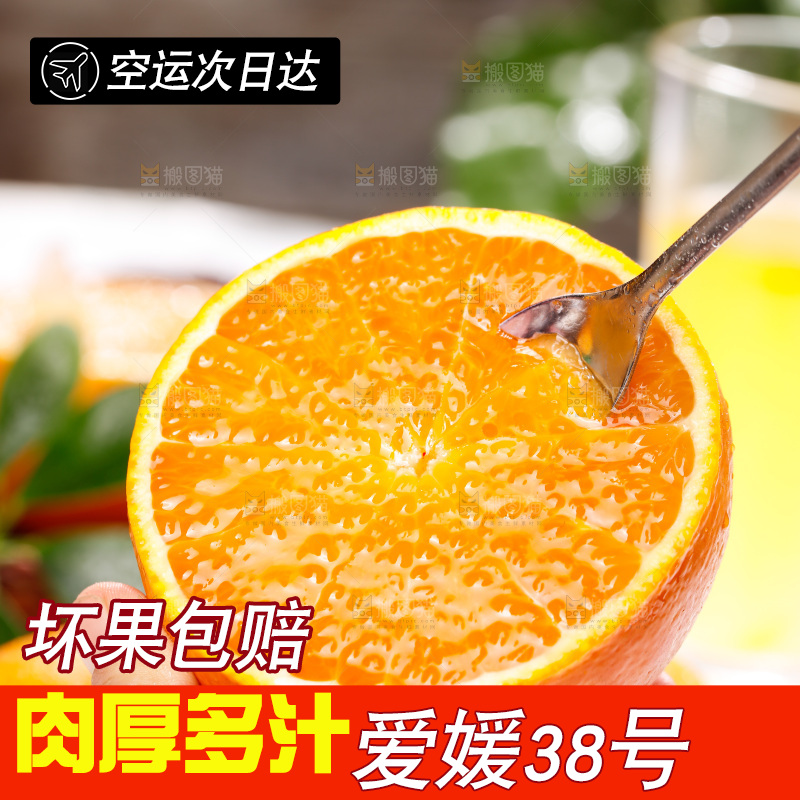 浅底上的爱媛果冻橙