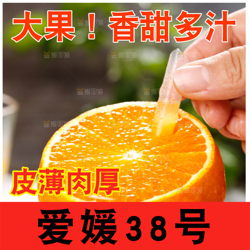浅底上的爱媛果冻橙