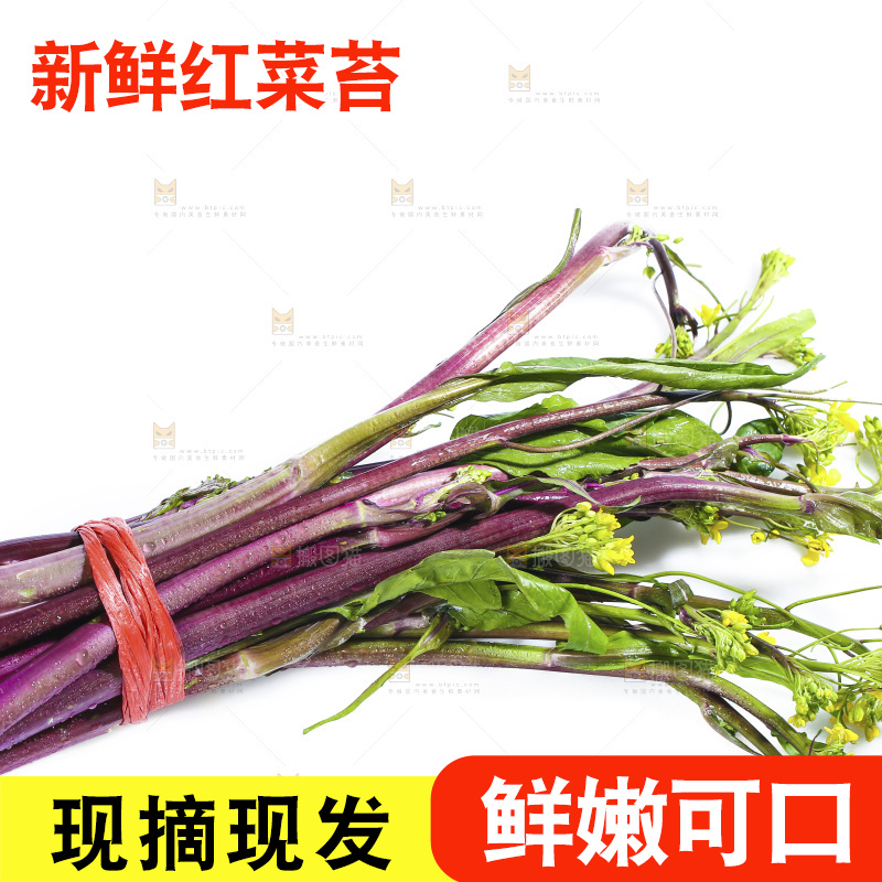 白底上的红菜苔