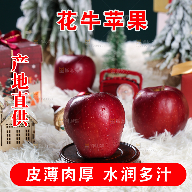 浅底上的圣诞果