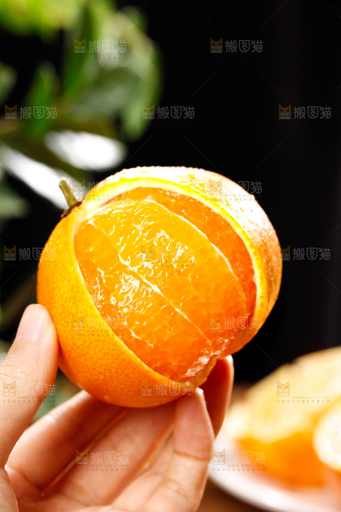 深底上的爱媛果冻橙