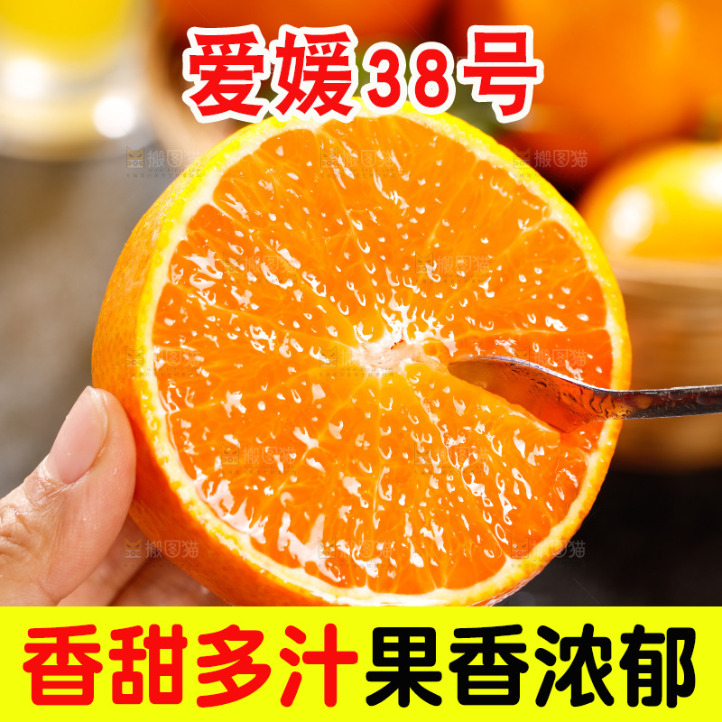爱媛果冻橙主图