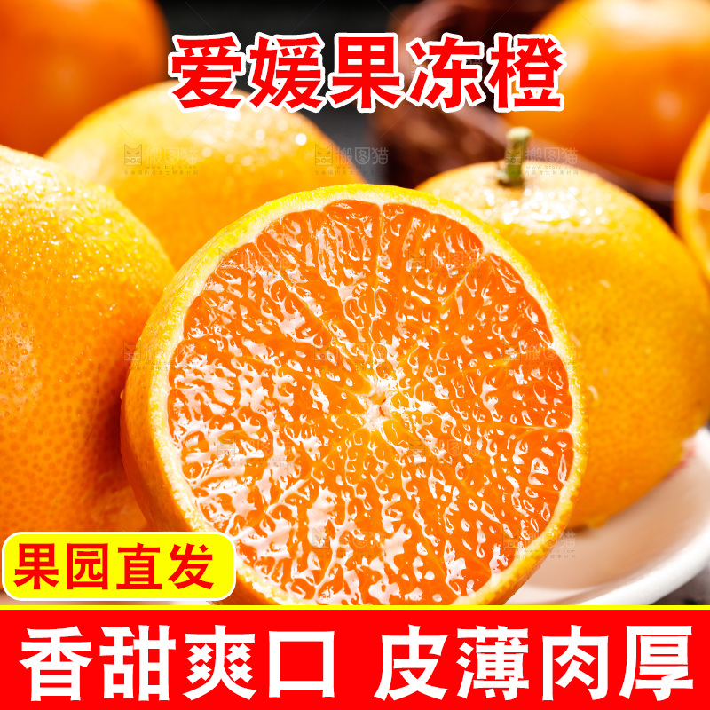 深底上的爱媛果冻橙