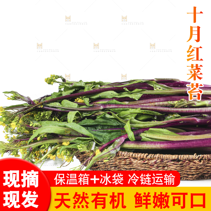 白底上的红菜苔