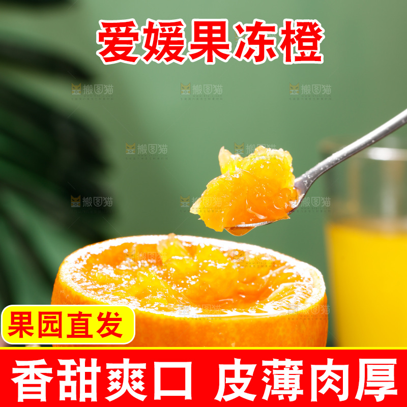 深底上的爱媛果冻橙