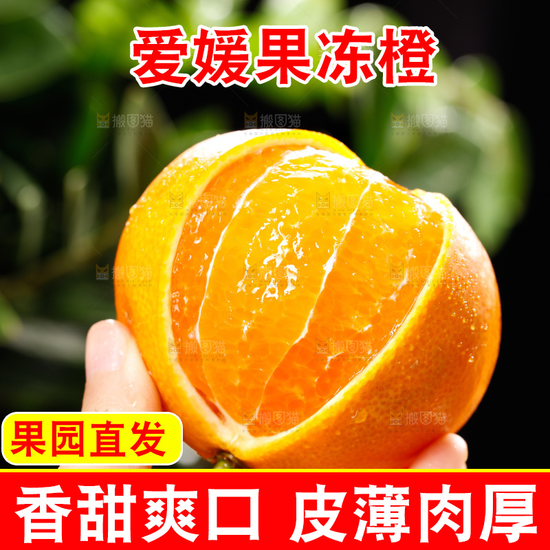 深底上的爱媛果冻橙