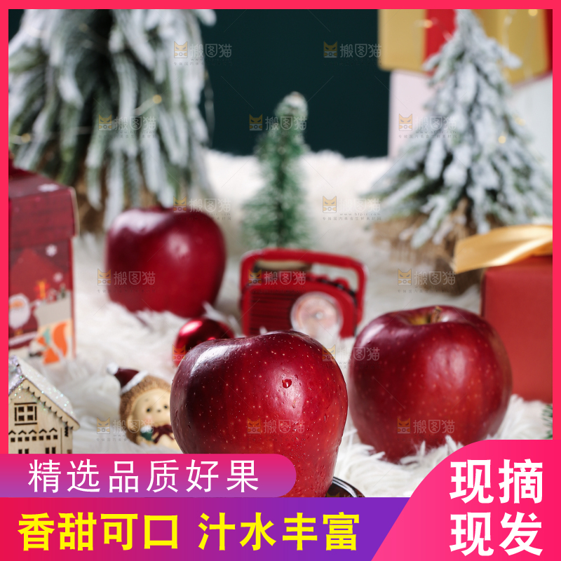 浅底上的圣诞果