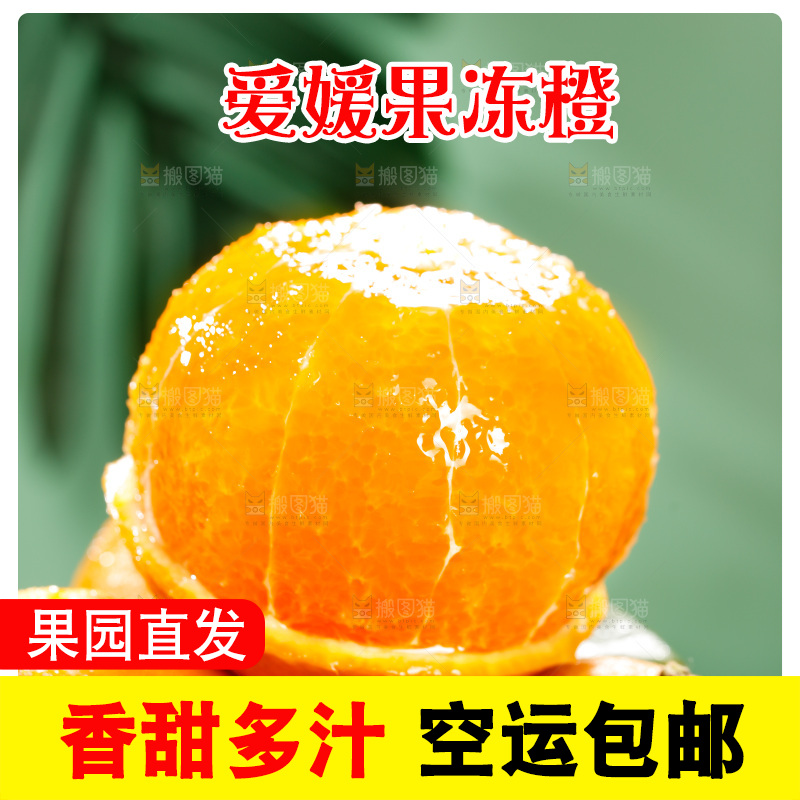 深底上的爱媛果冻橙