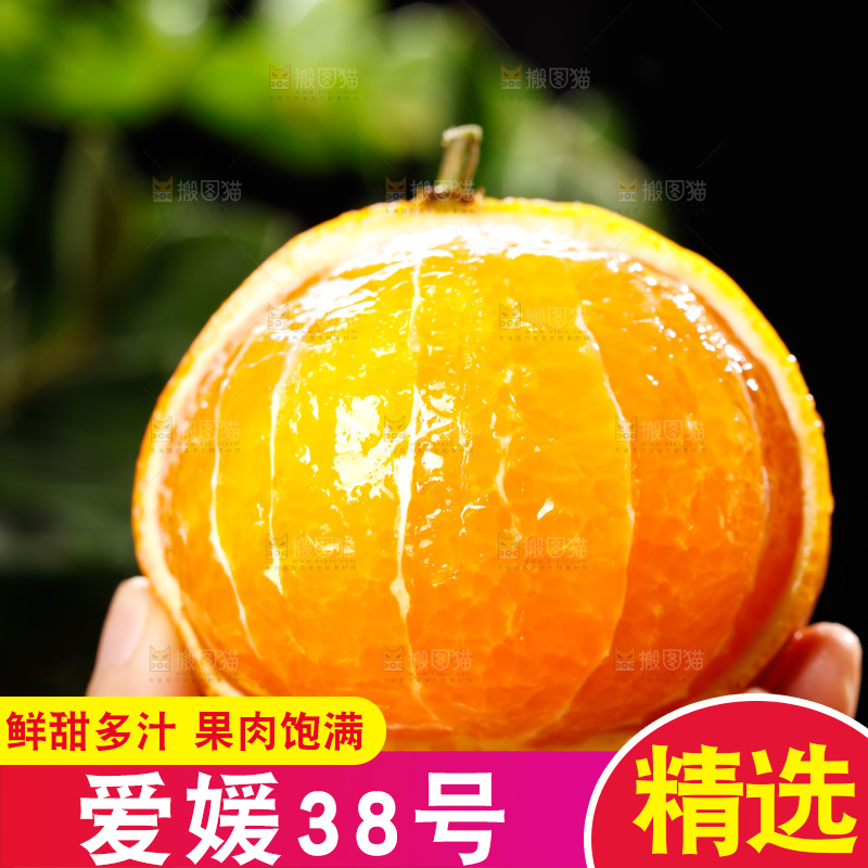 深底上的爱媛果冻橙