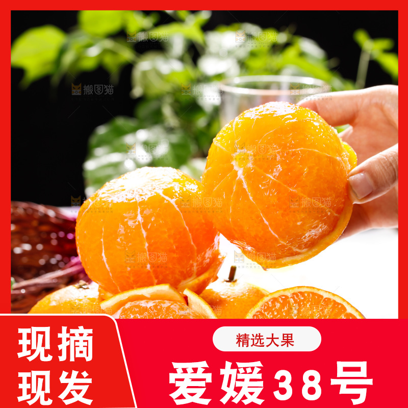 浅底上的爱媛果冻橙