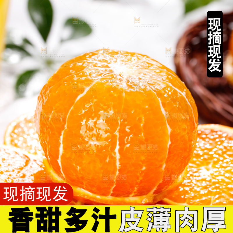 浅底上的爱媛果冻橙