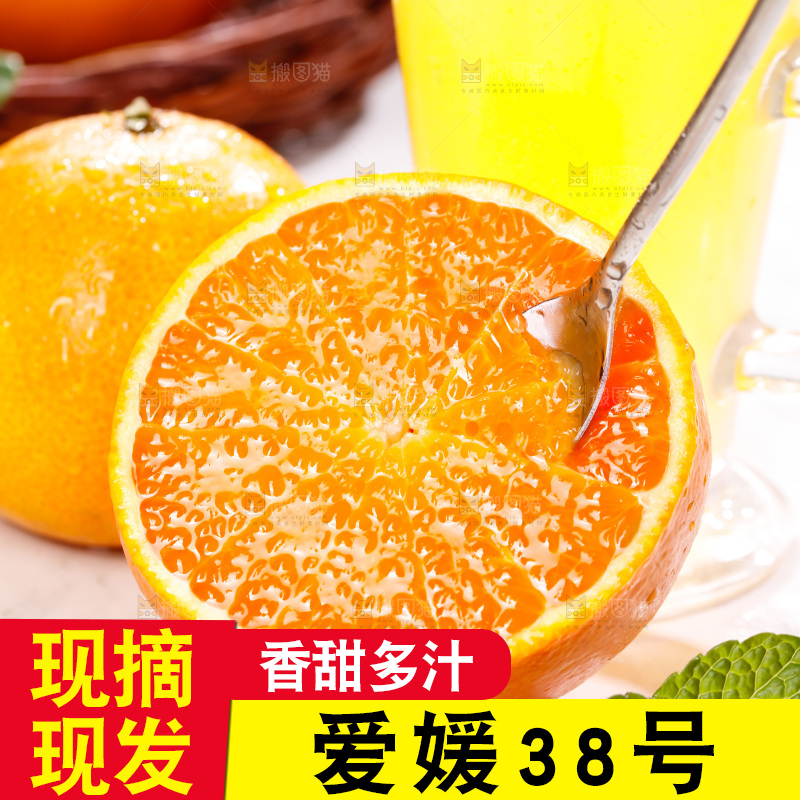 浅底上的爱媛果冻橙