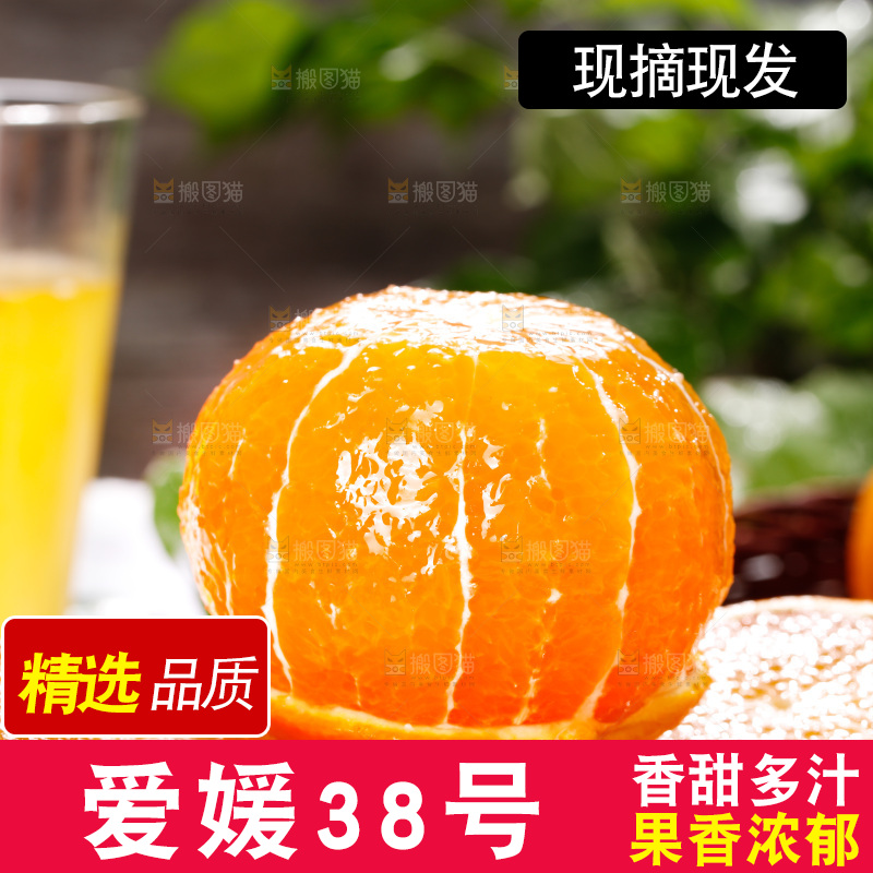 浅底上的爱媛果冻橙