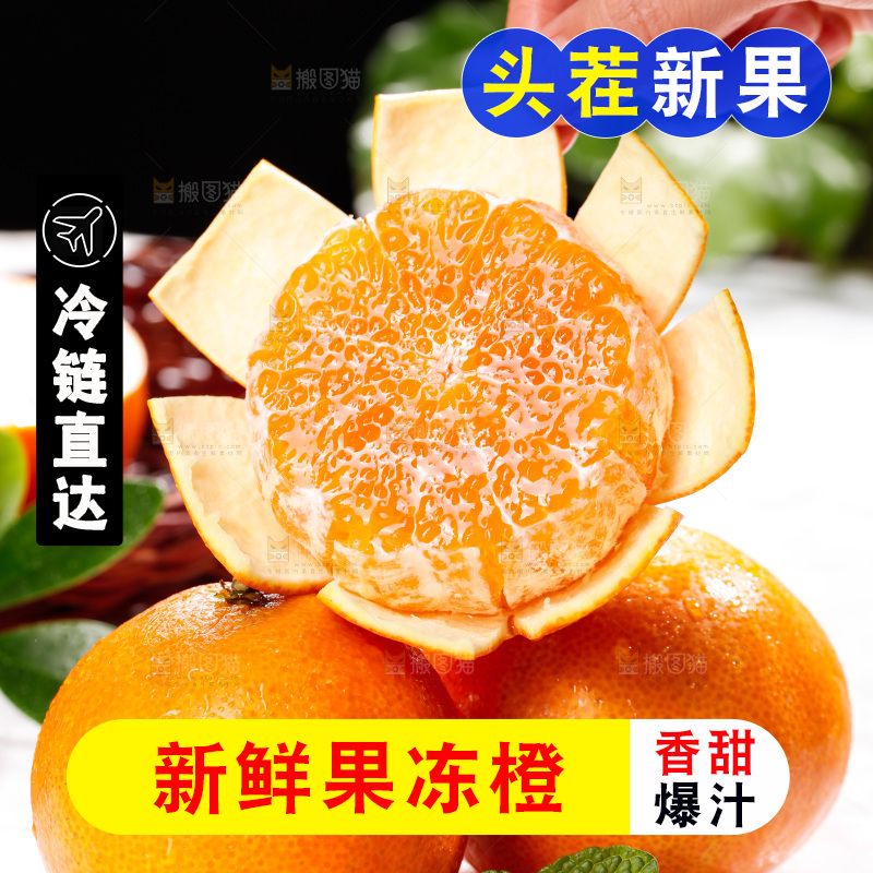 浅底上的爱媛果冻橙
