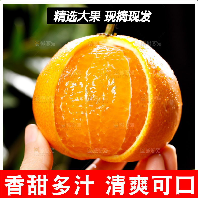 深底上的爱媛果冻橙