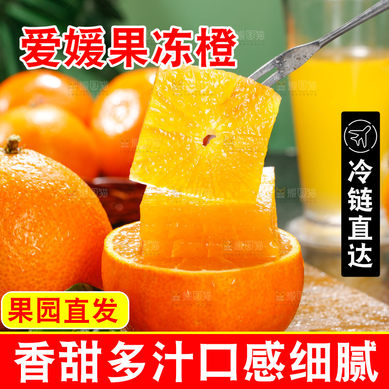 深底上的爱媛果冻橙