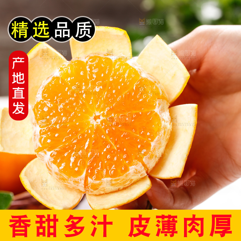 浅底上的爱媛果冻橙