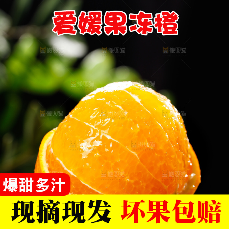 深底上的爱媛果冻橙